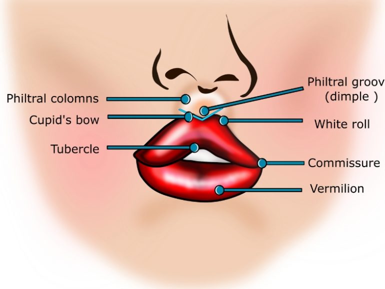 Do Dental Hygienists do Lips?